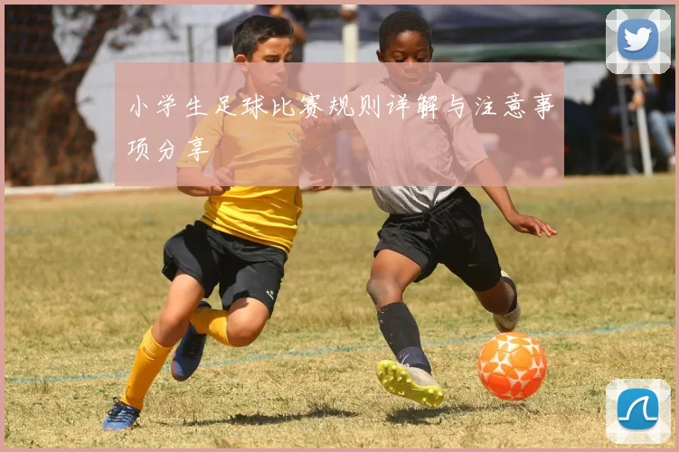 小学生足球比赛规则详解与注意事项分享