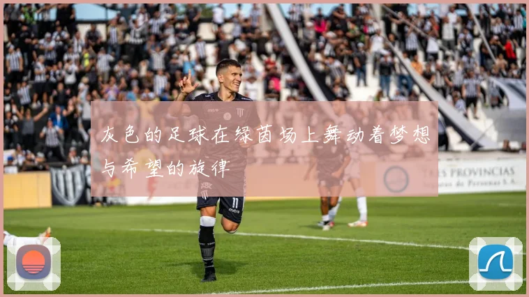 灰色的足球在绿茵场上舞动着梦想与希望的旋律