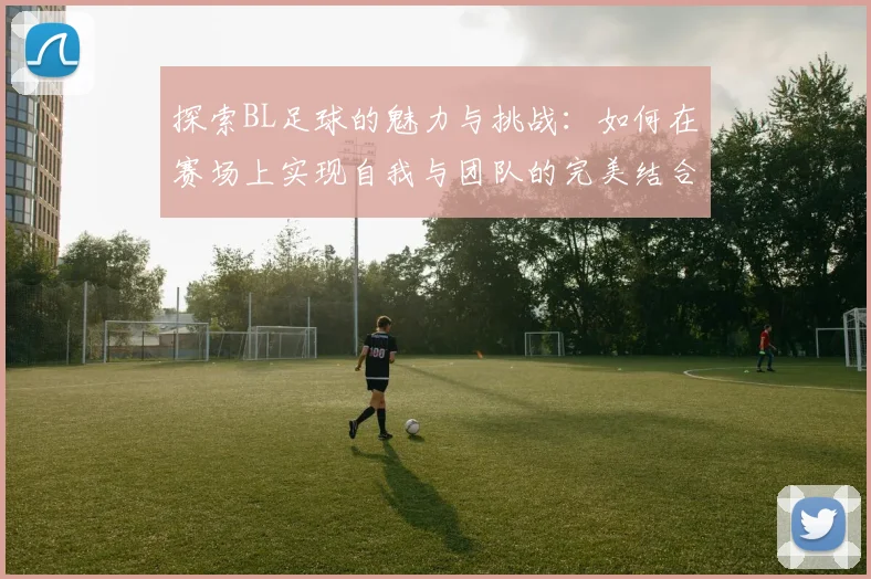 探索BL足球的魅力与挑战：如何在赛场上实现自我与团队的完美结合