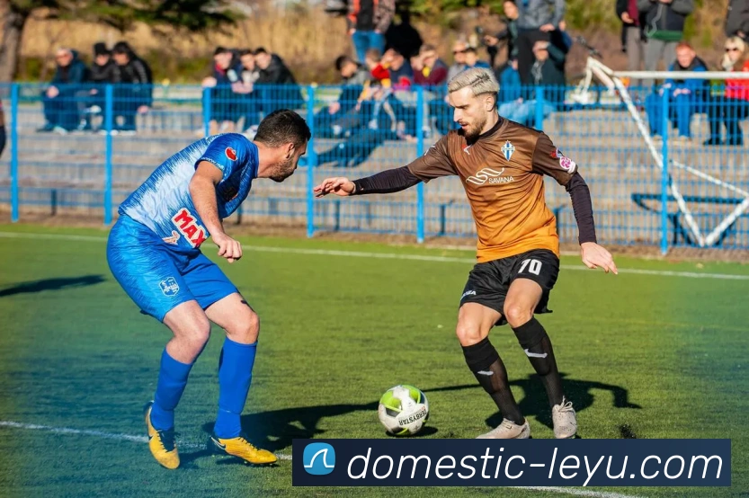 VIP注册入口平台生态图