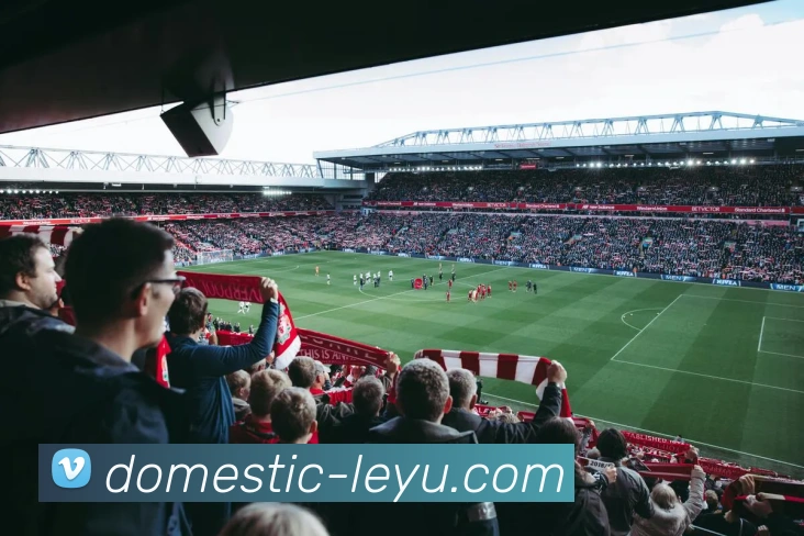 VIP注册入口APP 封面图